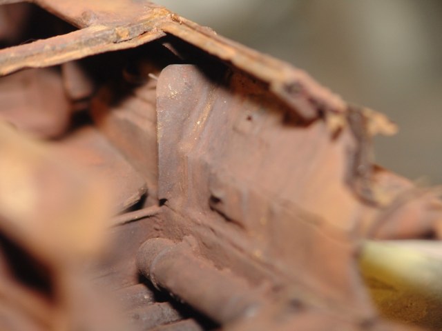 DSC02935сы (6).JPG